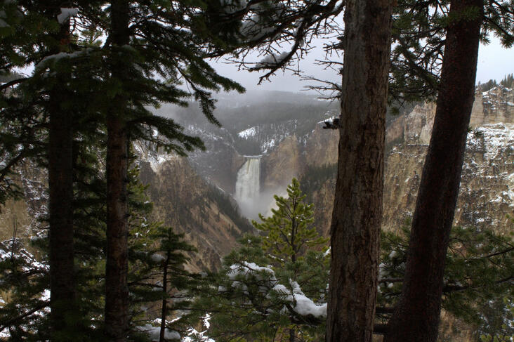 Grand Canyon of the Yellowstone