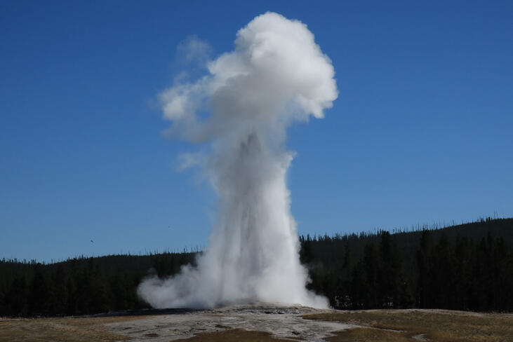 Old Faithful Geyser erupting