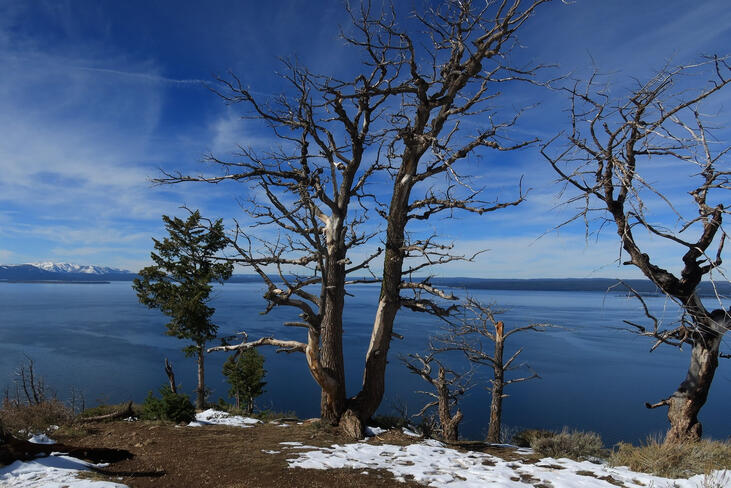 Yellowstone Lake